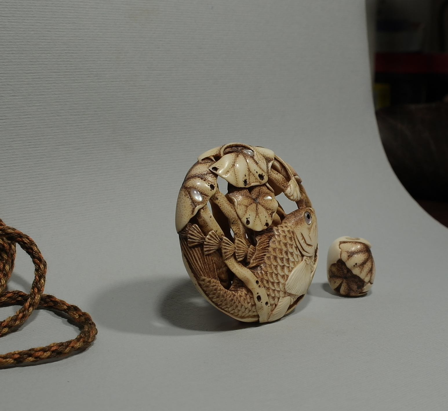 Carp under the lotus leaves 3